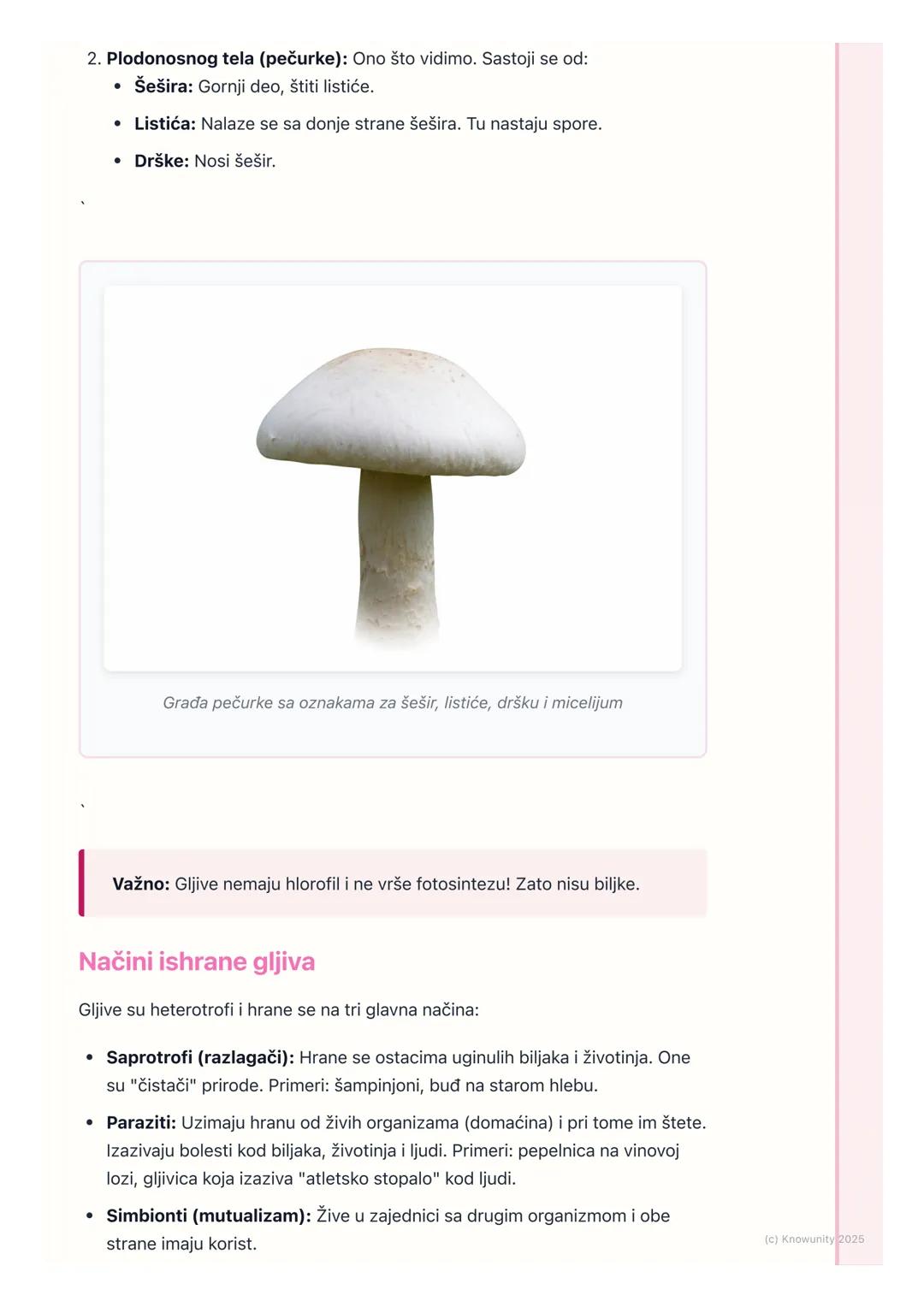 # Gljive

## Uvod u gljive

Gljive su posebna grupa živih bića. One nisu ni biljke ni životinje, već čine
svoje, peto carstvo živih bića. Mo