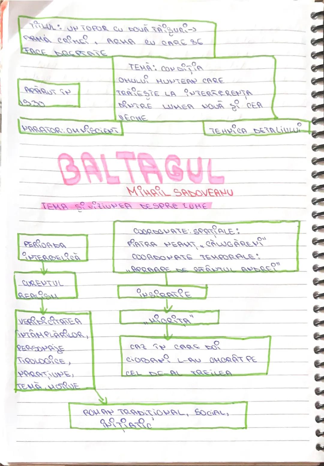 Structura Romanului - Baltagul