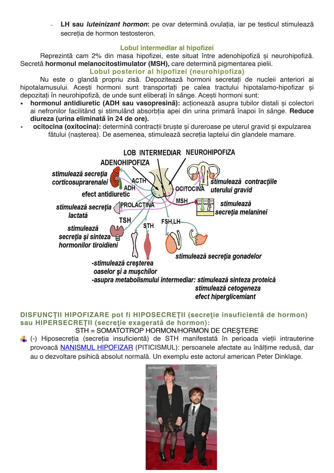 --- OCR Start ---
GLANDELE
Glanda este un organ capabil să producă o secreție, o umoare care folosește diverselor
scopuri ale organismului (