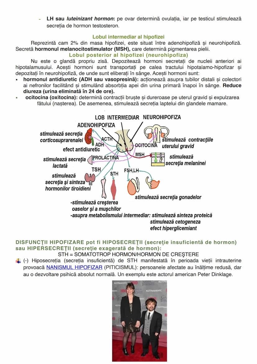 --- OCR Start ---
GLANDELE
Glanda este un organ capabil să producă o secreție, o umoare care folosește diverselor
scopuri ale organismului (