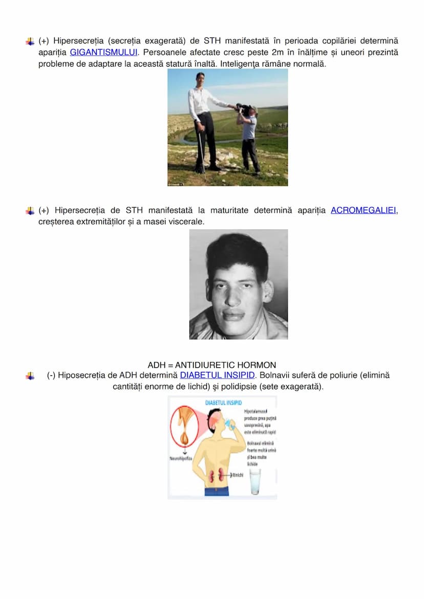 --- OCR Start ---
GLANDELE
Glanda este un organ capabil să producă o secreție, o umoare care folosește diverselor
scopuri ale organismului (