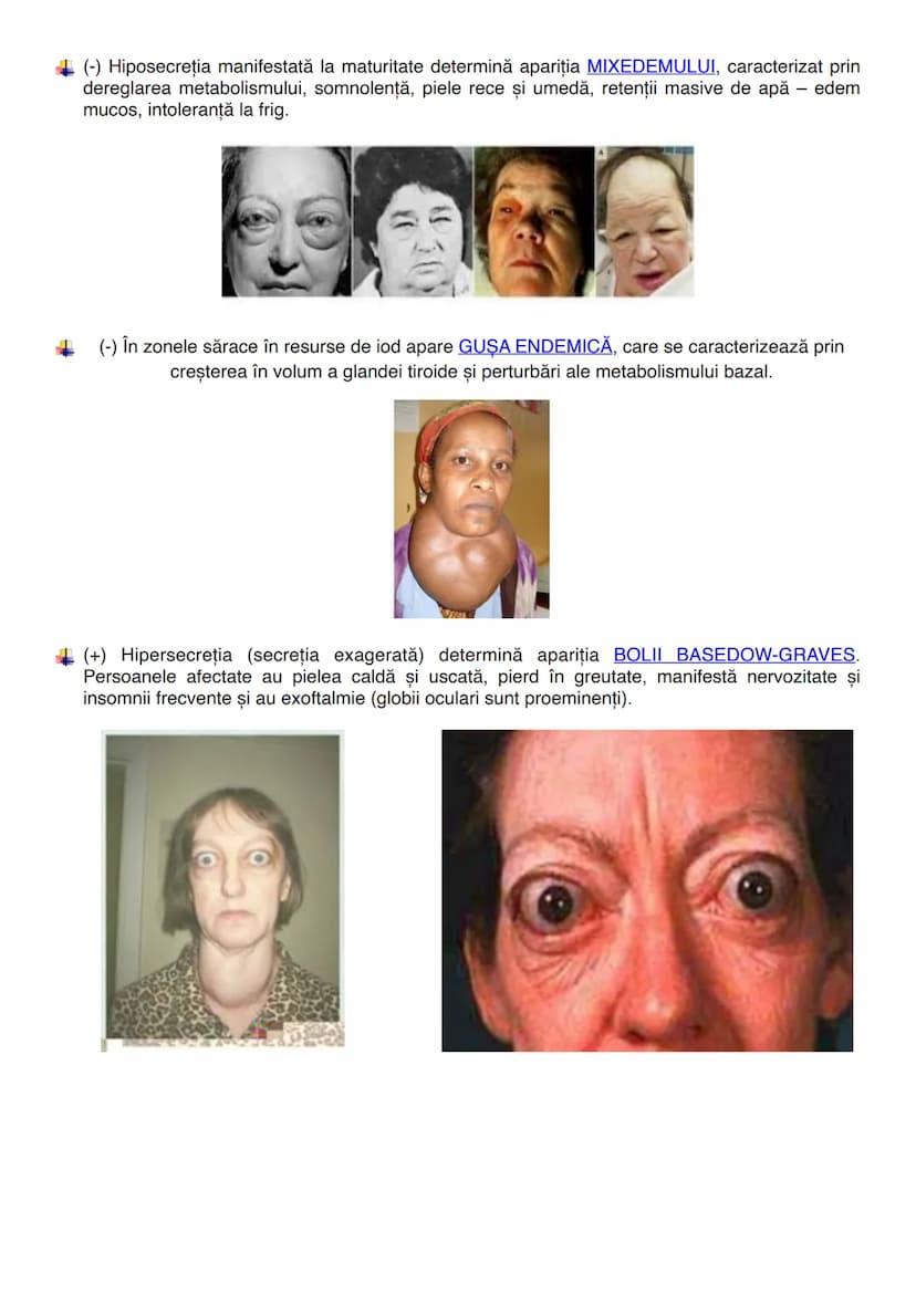--- OCR Start ---
GLANDELE
Glanda este un organ capabil să producă o secreție, o umoare care folosește diverselor
scopuri ale organismului (