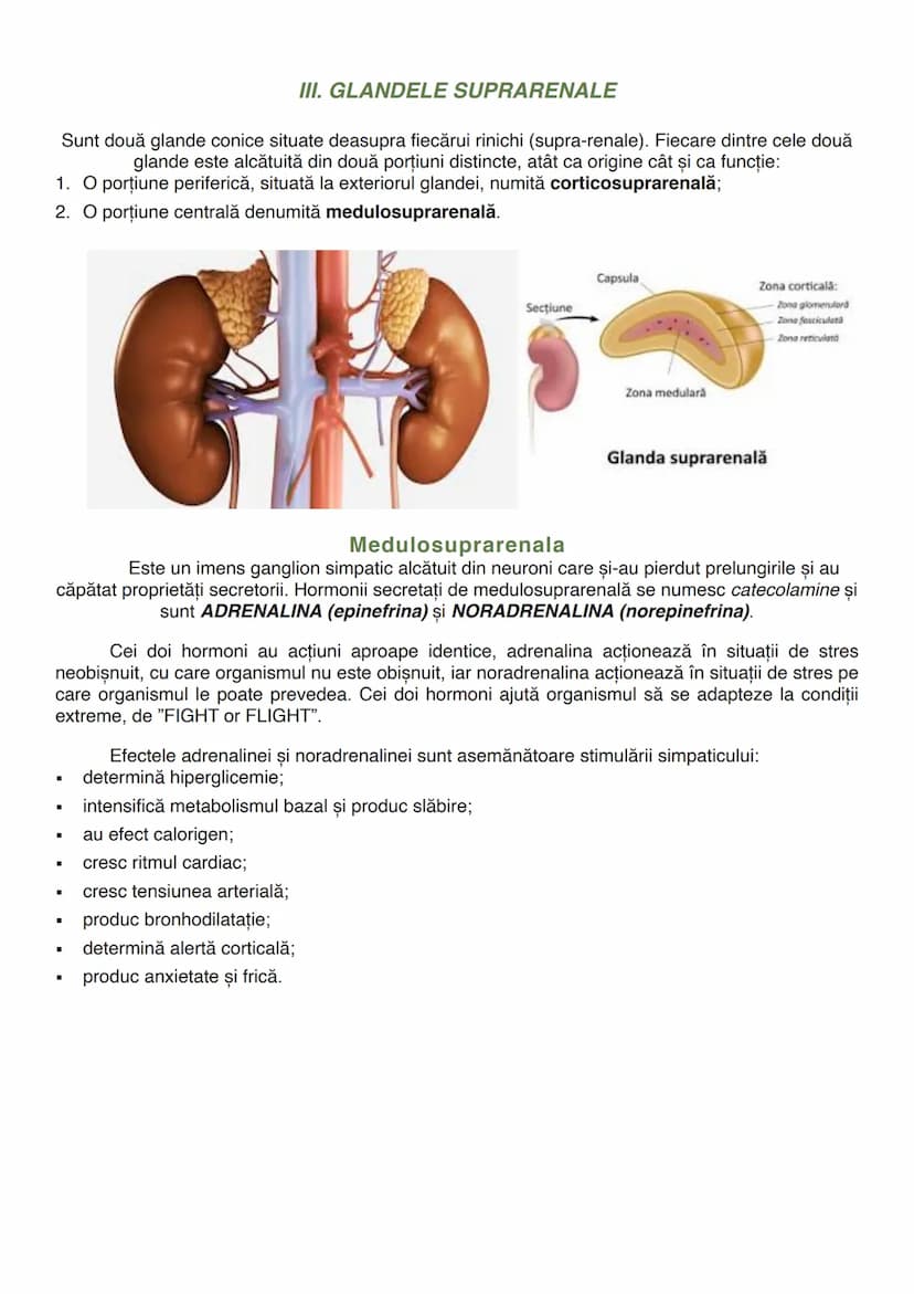 --- OCR Start ---
GLANDELE
Glanda este un organ capabil să producă o secreție, o umoare care folosește diverselor
scopuri ale organismului (