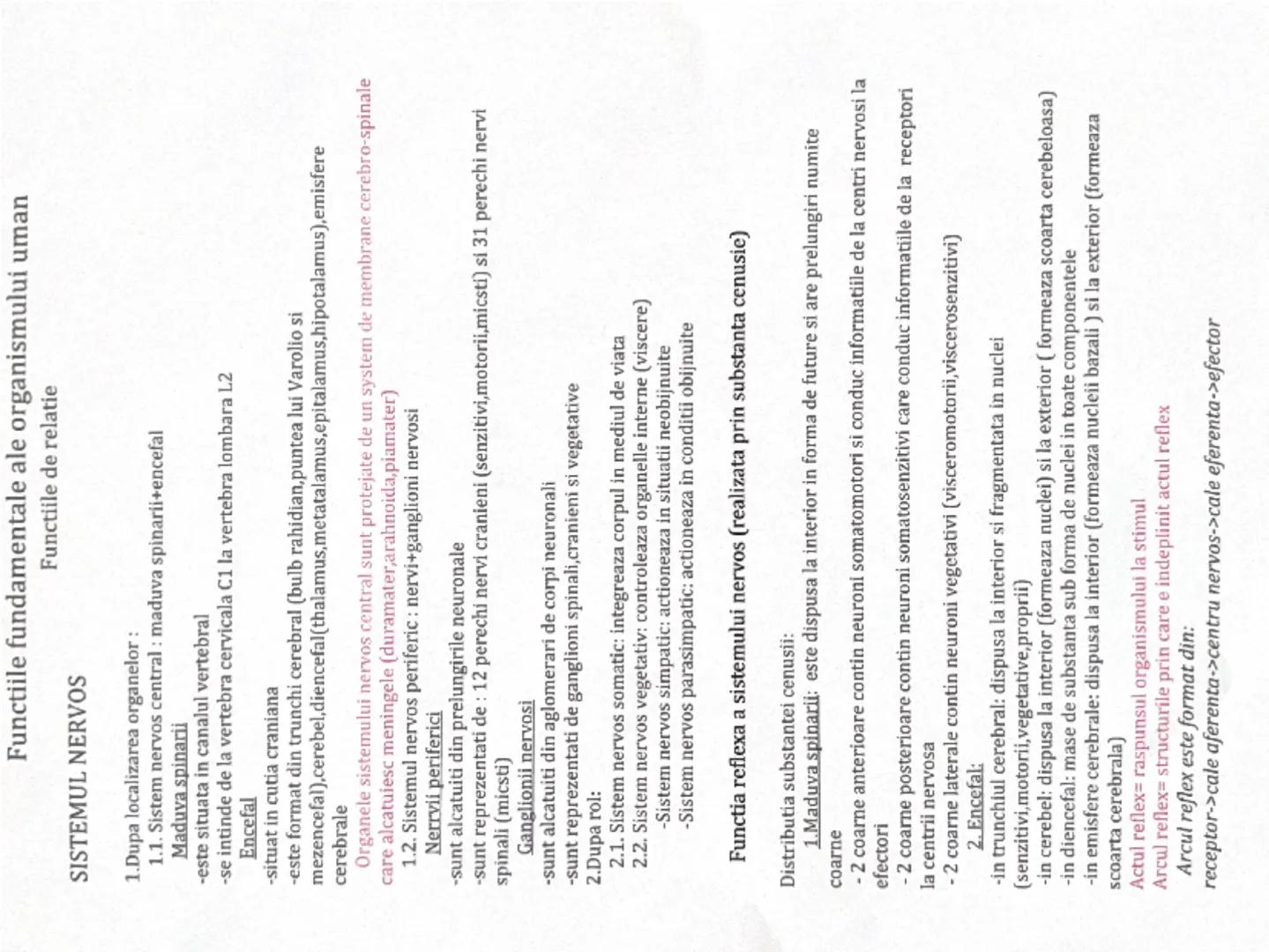 --- OCR Start ---
Functiile fundamentale ale organismului uman
SISTEMUL NERVOS
1. Dupa localizarea organelor:
Functiile de relatie
1.1. Sist