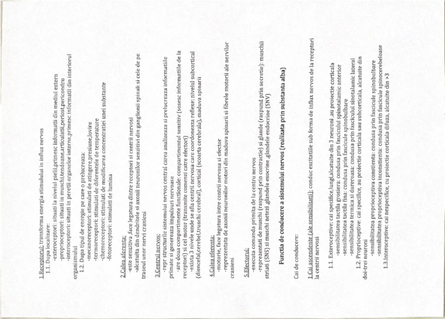 --- OCR Start ---
Functiile fundamentale ale organismului uman
SISTEMUL NERVOS
1. Dupa localizarea organelor:
Functiile de relatie
1.1. Sist