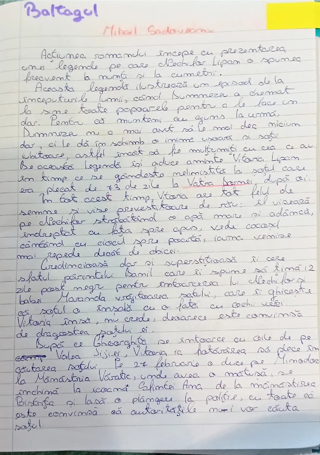 Rezumat Baltagul, de Mihail Sadoveanu