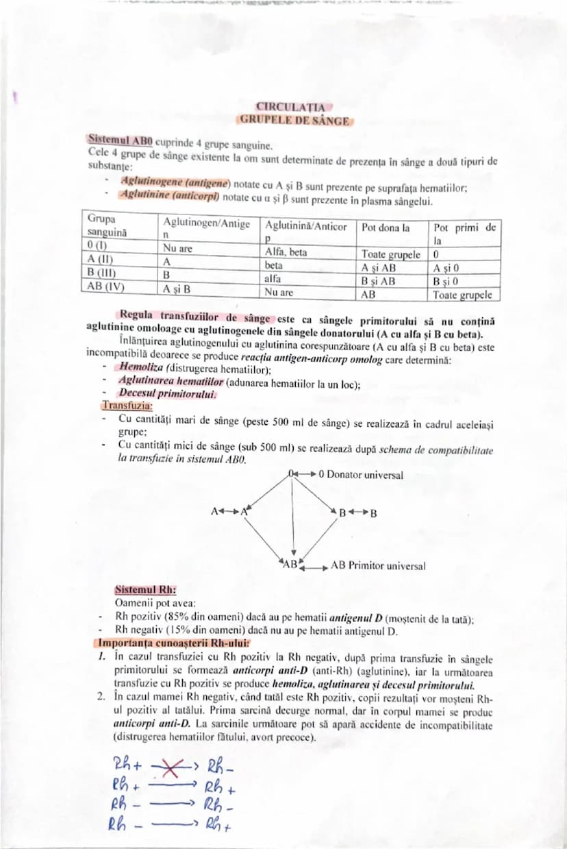 # CIRCULATIA
# GRUPELE DE SÂNGE

**Sistemul ABO** cuprinde 4 grupe sanguine.
Cele 4 grupe de sânge existente la om sunt determinate de preze