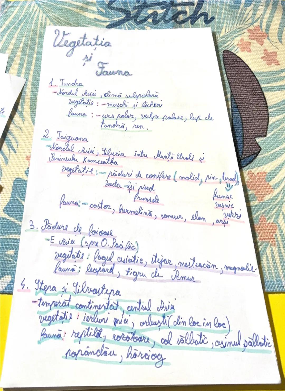 ASIA

Pozitie geografică

1. Paralele importante
* Ecuator
* Tropicul Rocului
*Paralela 45
* Cercul polor de nord

10.11.2025

*după poziția