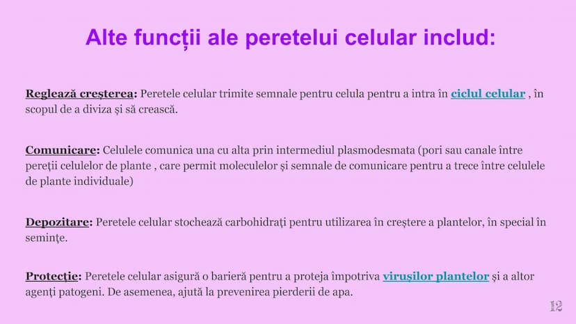 --- OCR Start ---
CELULA VEGETALA
Eveline Constantin, Stefan Negrea, Teodora Dobrin, Daria Filip și Matei Bumbes✩
Membrană
Perete
celular
Nu