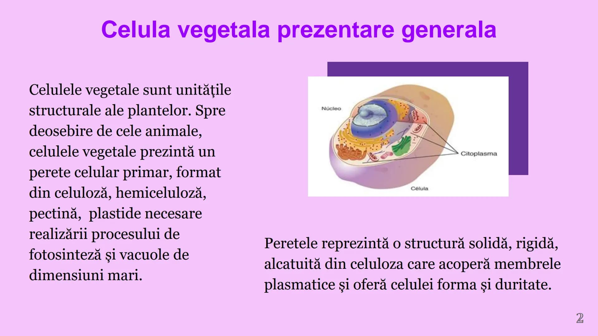 --- OCR Start ---
CELULA VEGETALA
Eveline Constantin, Stefan Negrea, Teodora Dobrin, Daria Filip și Matei Bumbes✩
Membrană
Perete
celular
Nu
