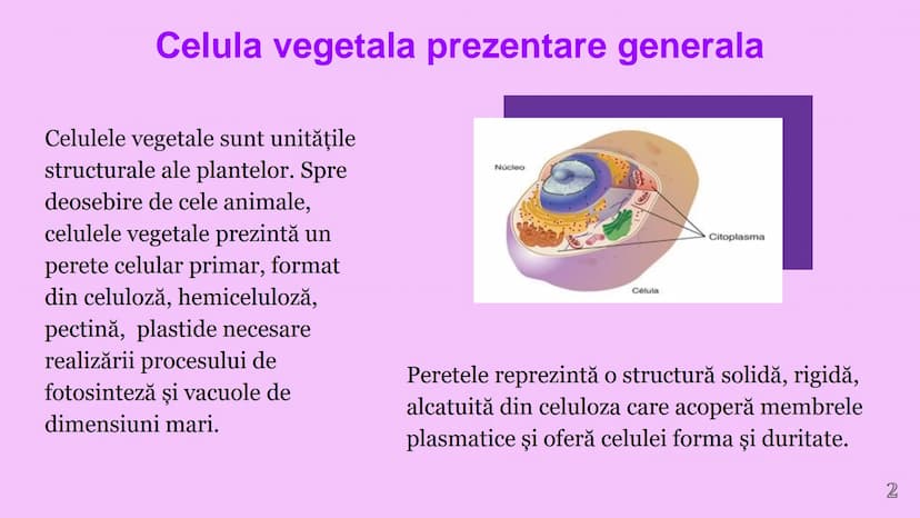--- OCR Start ---
CELULA VEGETALA
Eveline Constantin, Stefan Negrea, Teodora Dobrin, Daria Filip și Matei Bumbes✩
Membrană
Perete
celular
Nu
