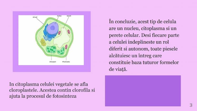 --- OCR Start ---
CELULA VEGETALA
Eveline Constantin, Stefan Negrea, Teodora Dobrin, Daria Filip și Matei Bumbes✩
Membrană
Perete
celular
Nu