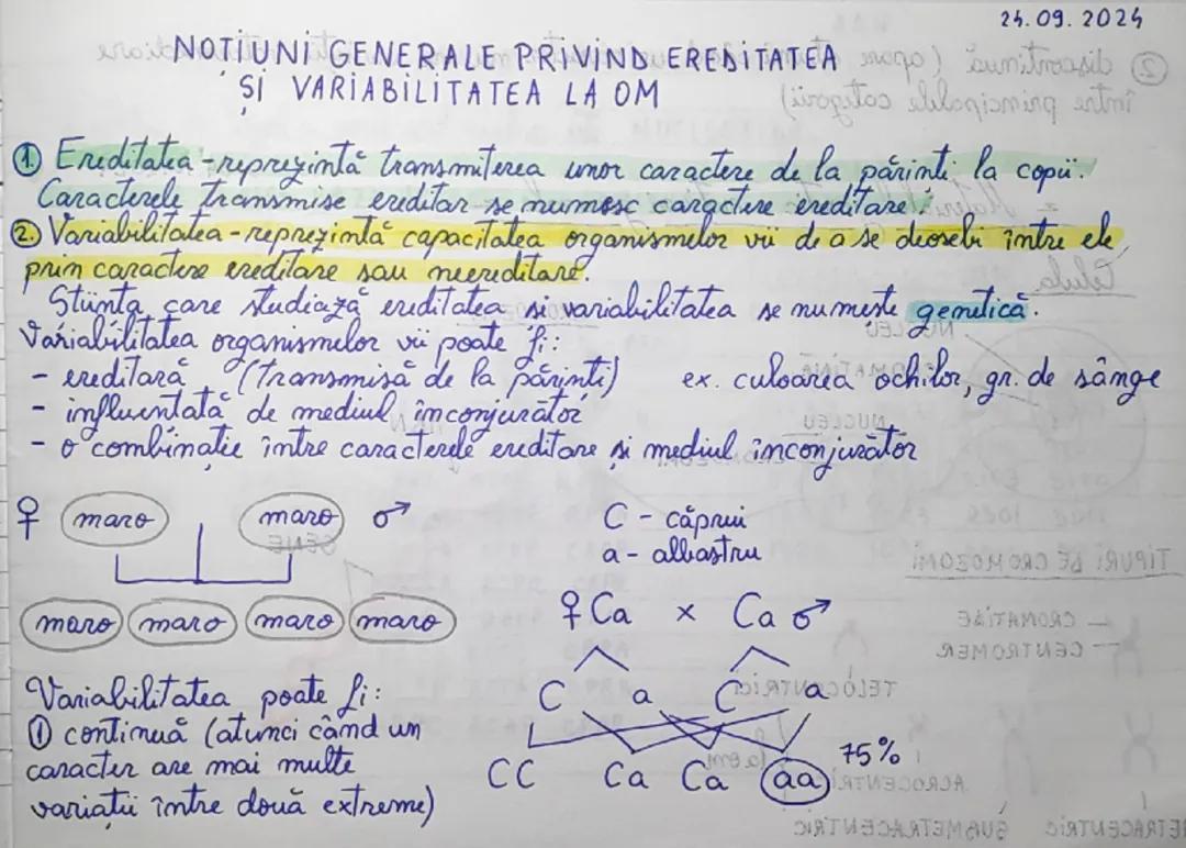 Noțiuni generale privind ereditatea și variabilitatea la om + Materialul genetic