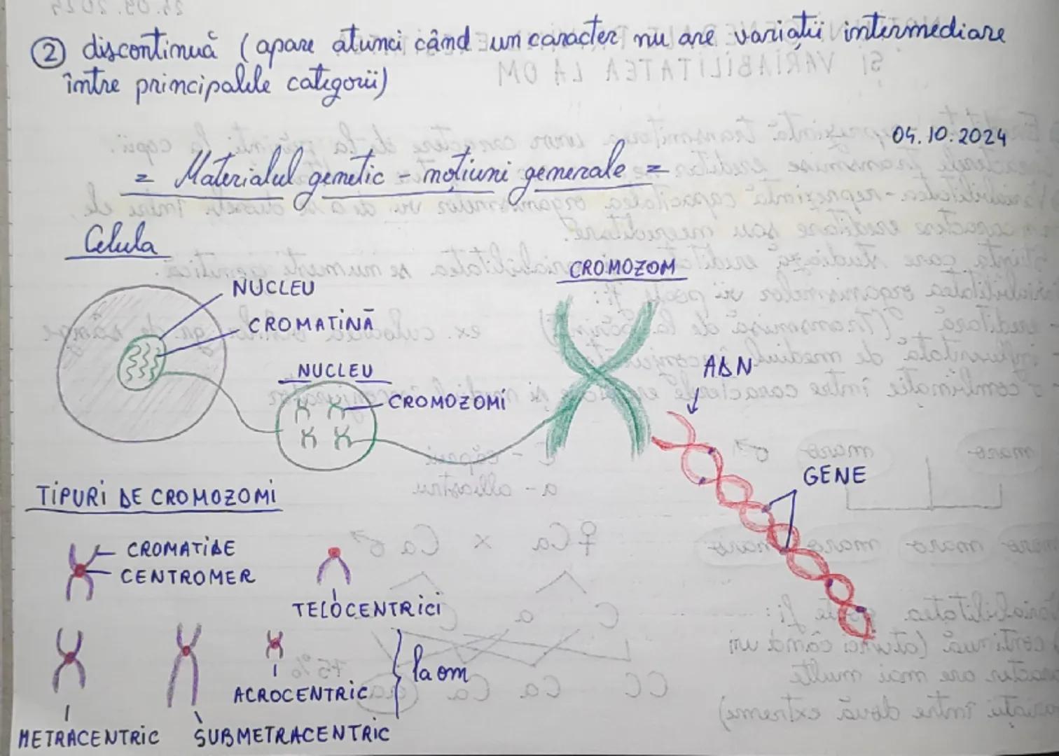 24.09.2024

nort NOTIUNI GENERALE PRIVIND EREDITATEA mogo) sumitressib
SI VARIABILITATEA LA OM onioming entri

① Ereditatea-reprezintă trans