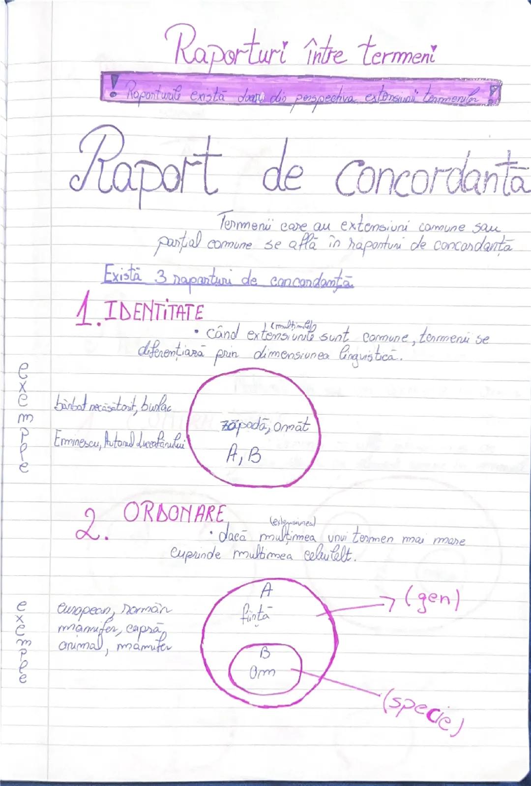 Logica și Argumentare: Cum Se Relaționează Termenii