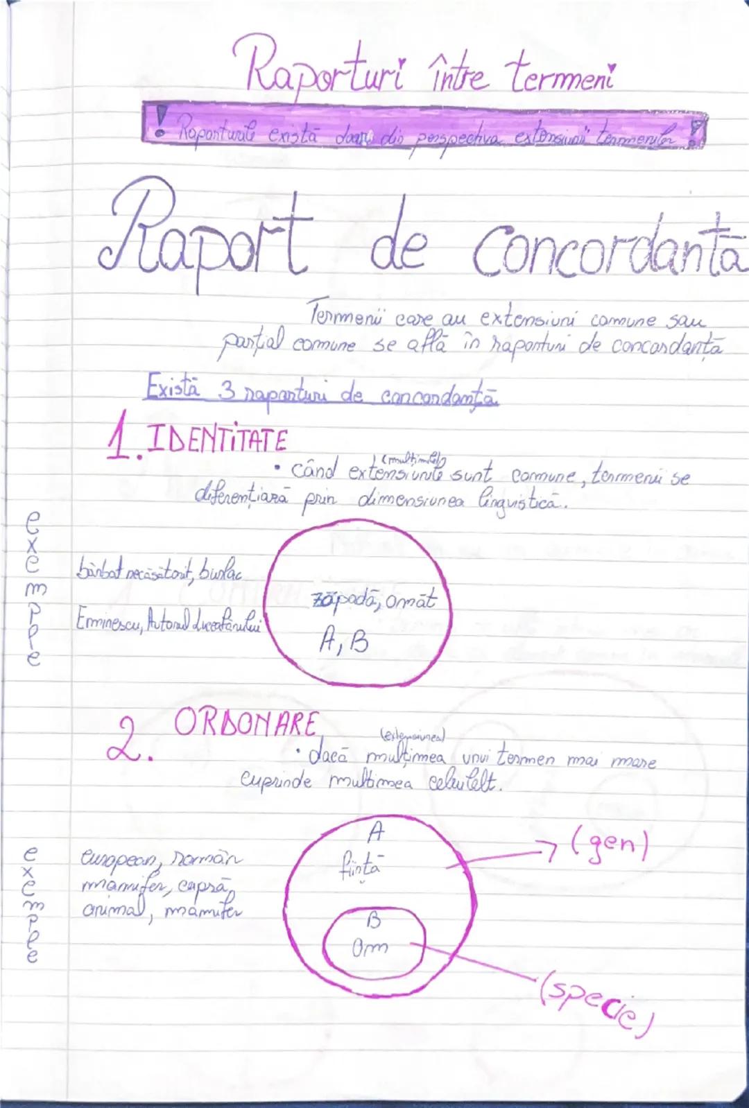 --- OCR Start ---
Raporturi între termeni
• Roportuari enata Jars dis perspectiva estaraunt teammenubr
Raport de concordanta
Termeni care au