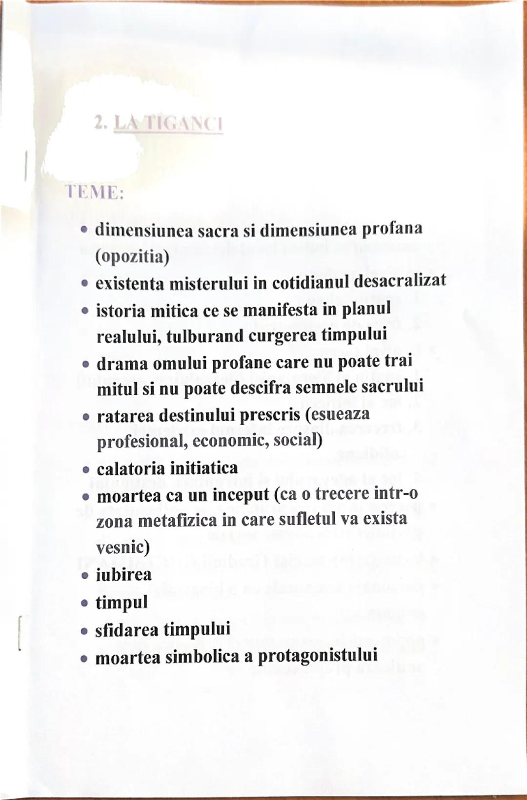 Rezumat detaliat al nuvelei "La țigănci" de Mircea Eliade