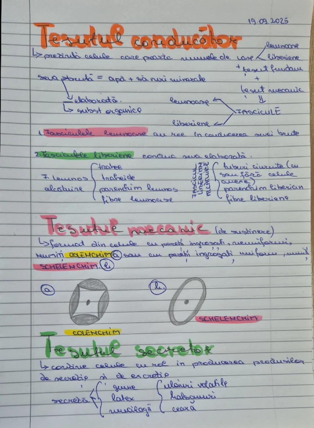 17.09.2025
# Fesuturi
vegetale gi avizuale
Strinita cone se ocupó de studive tesuturilor se muureste
histologie.
* Histogeneza este procesel