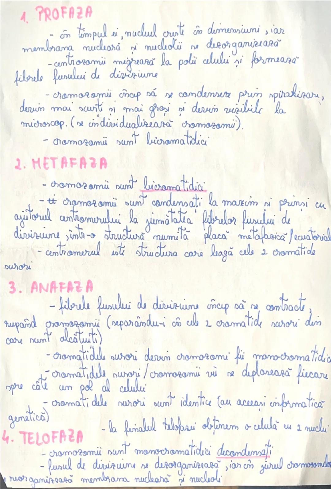 --- OCR Start ---
MITOZA
Ciclul celular
interfază
diviziunea celulară
Mitoza
corpului)
mitoza
meioza
(specifică celulelor
somatice)
se desfă
