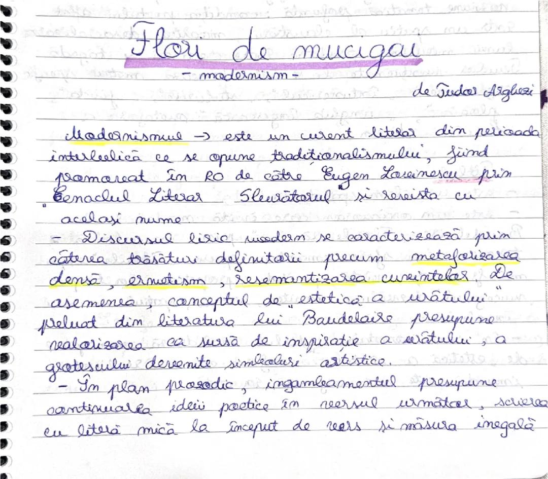 Analiză Completa Flori de Mucigai - Eseu detaliat pentru Clasa a 12-a