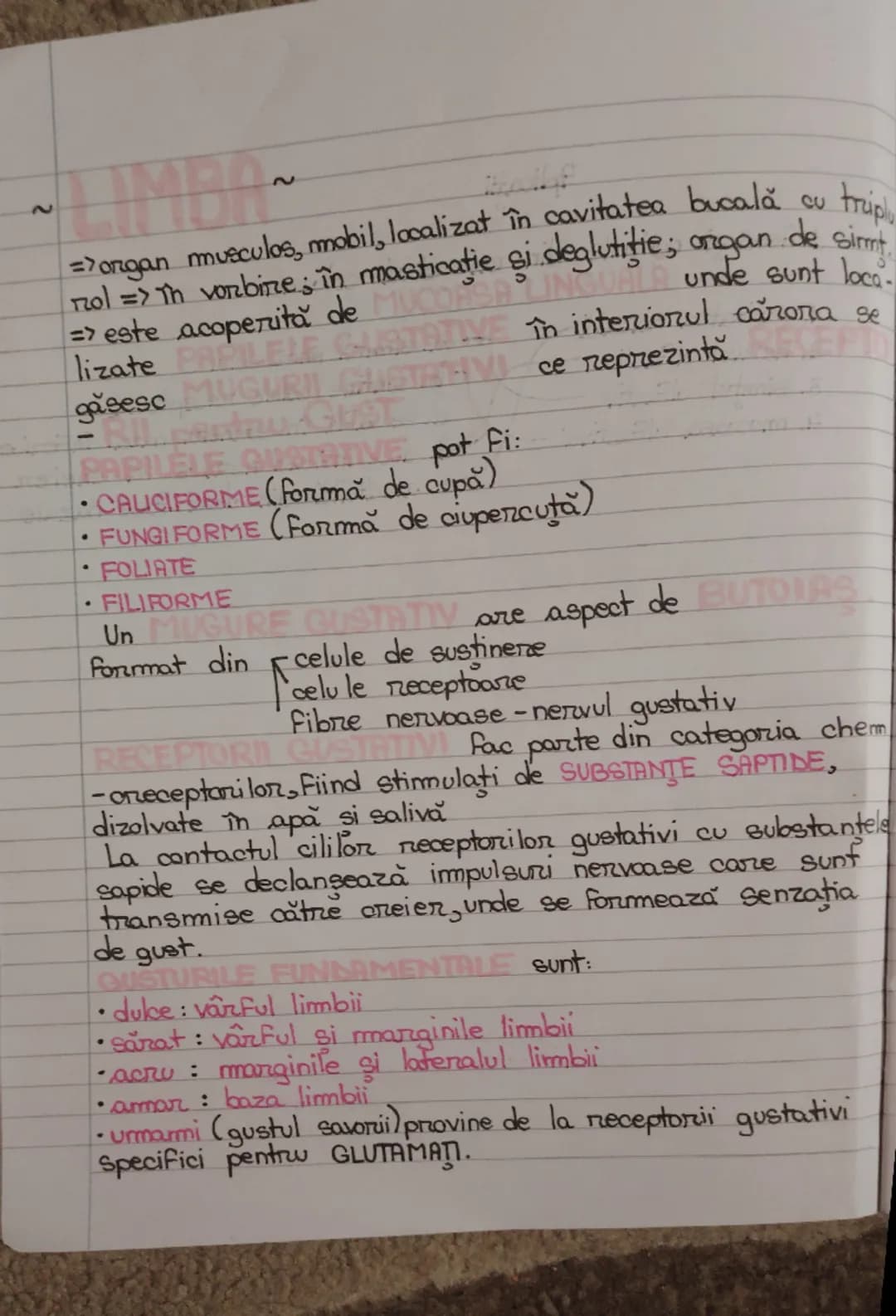 --- OCR Start ---
CU
triplu
=>organ musculos, mobil, localizat în cavitatea bucală
nol => în vorbire; în masticaţie şi deglutitie; organ de 