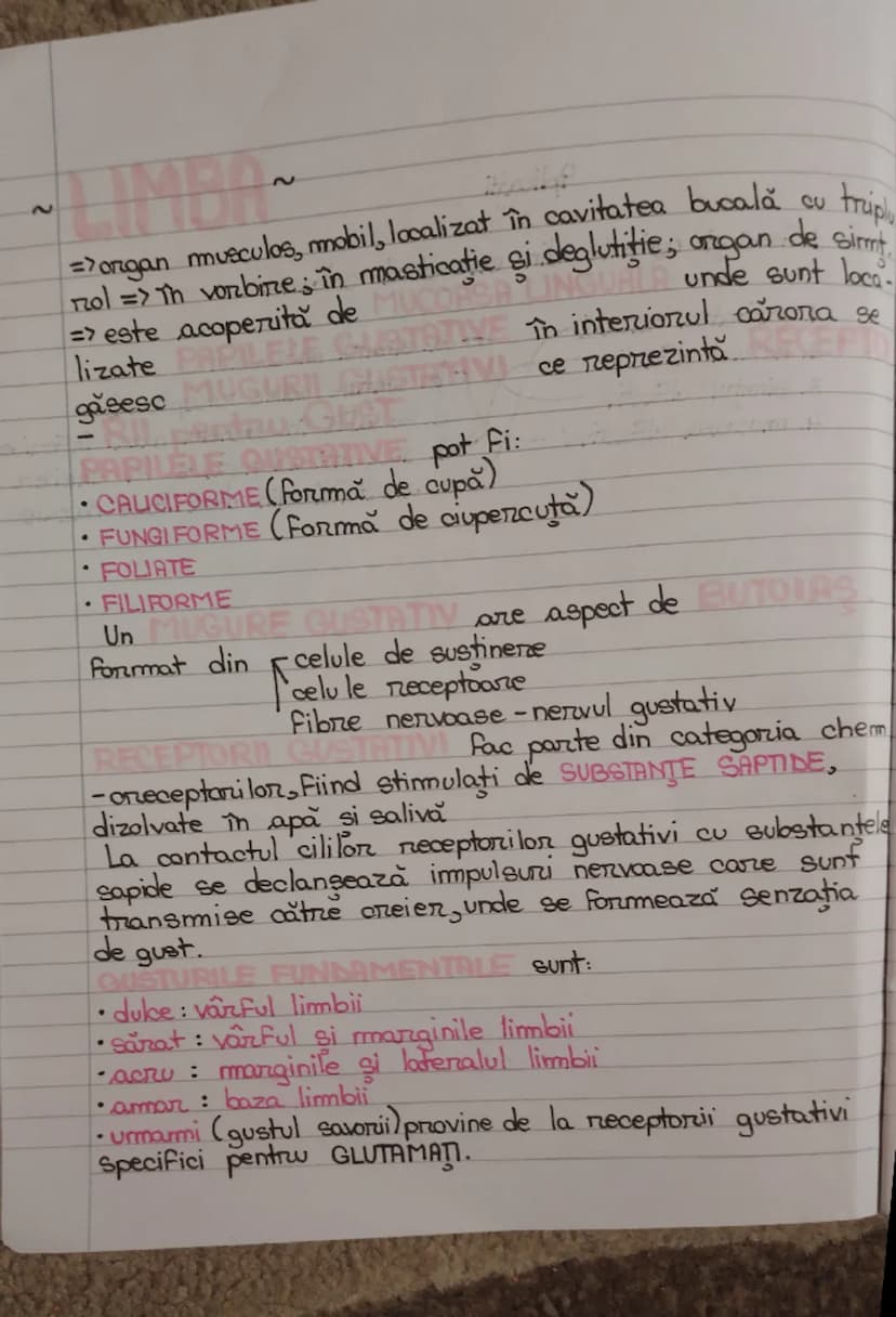 --- OCR Start ---
CU
triplu
=>organ musculos, mobil, localizat în cavitatea bucală
nol => în vorbire; în masticaţie şi deglutitie; organ de 