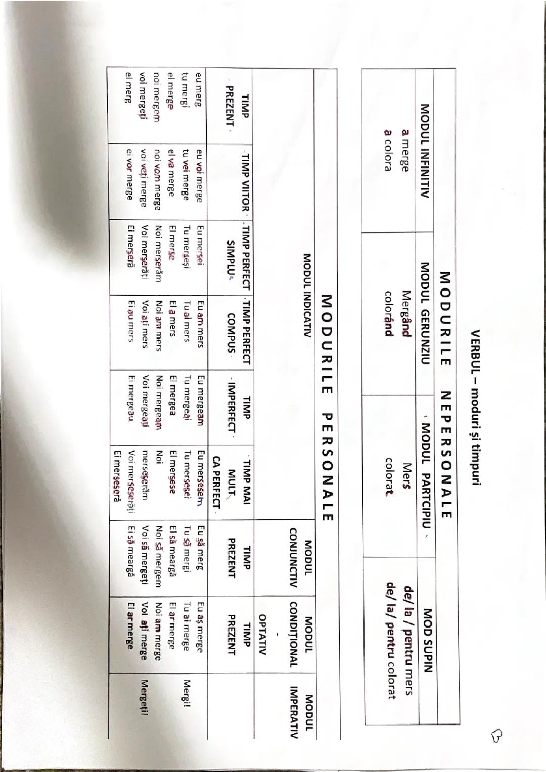 Modurile Verbului Explicate Simplu