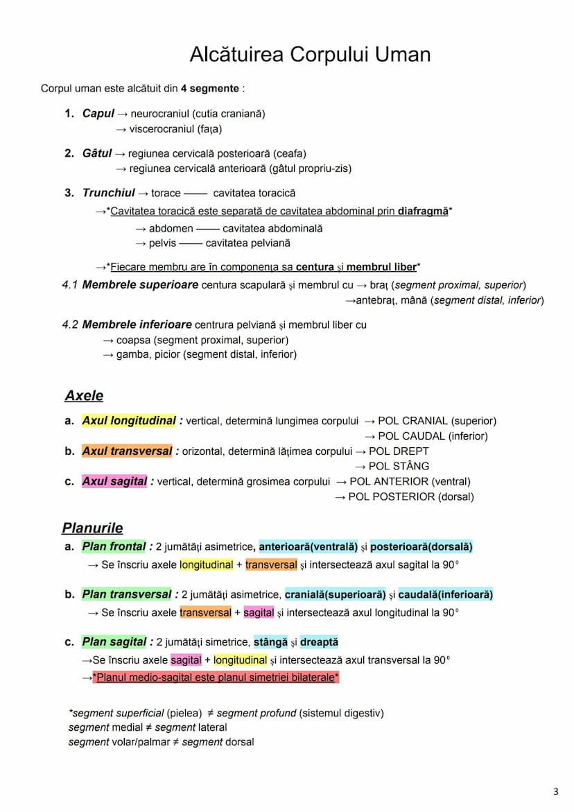 --- OCR Start ---
Alcătuirea Corpului Uman
Corpul uman este alcătuit din 4 segmente:
1. Capul
→neurocraniul (cutia craniană)
→viscerocraniul