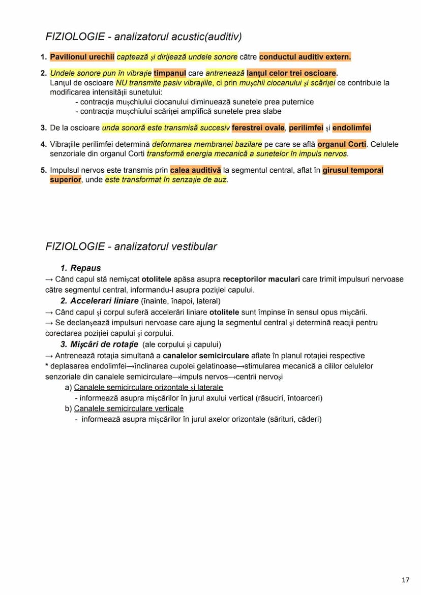 --- OCR Start ---
Alcătuirea Corpului Uman
Corpul uman este alcătuit din 4 segmente:
1. Capul
→neurocraniul (cutia craniană)
→viscerocraniul