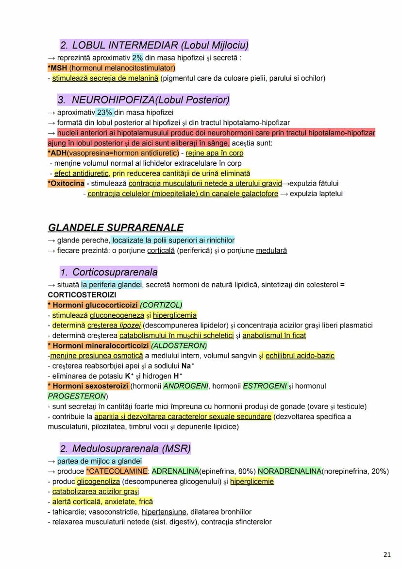 --- OCR Start ---
Alcătuirea Corpului Uman
Corpul uman este alcătuit din 4 segmente:
1. Capul
→neurocraniul (cutia craniană)
→viscerocraniul