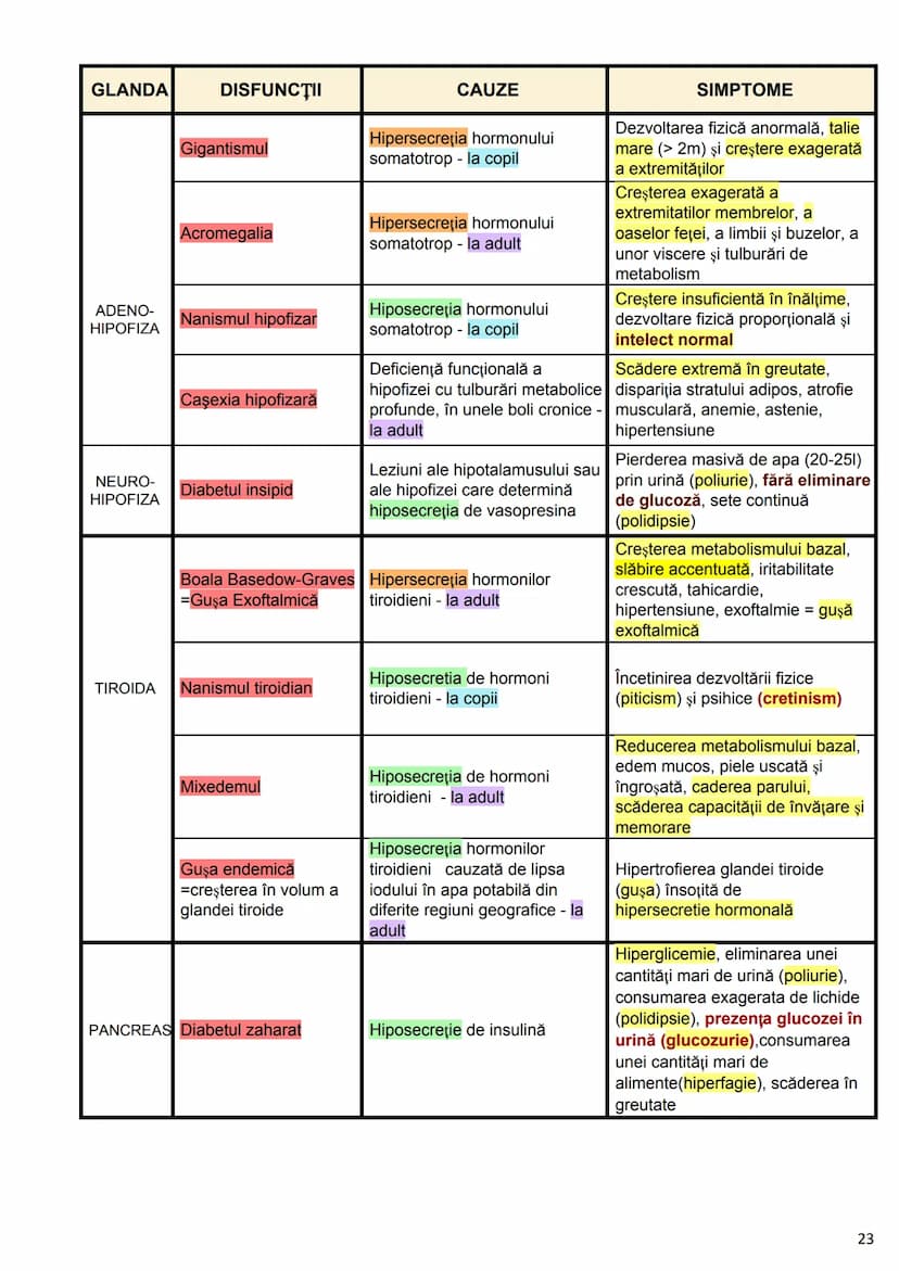 --- OCR Start ---
Alcătuirea Corpului Uman
Corpul uman este alcătuit din 4 segmente:
1. Capul
→neurocraniul (cutia craniană)
→viscerocraniul