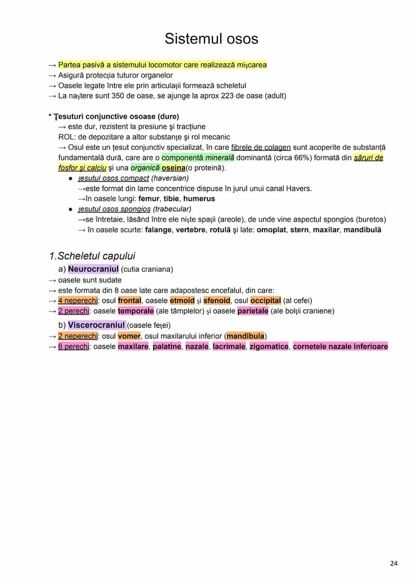 --- OCR Start ---
Alcătuirea Corpului Uman
Corpul uman este alcătuit din 4 segmente:
1. Capul
→neurocraniul (cutia craniană)
→viscerocraniul