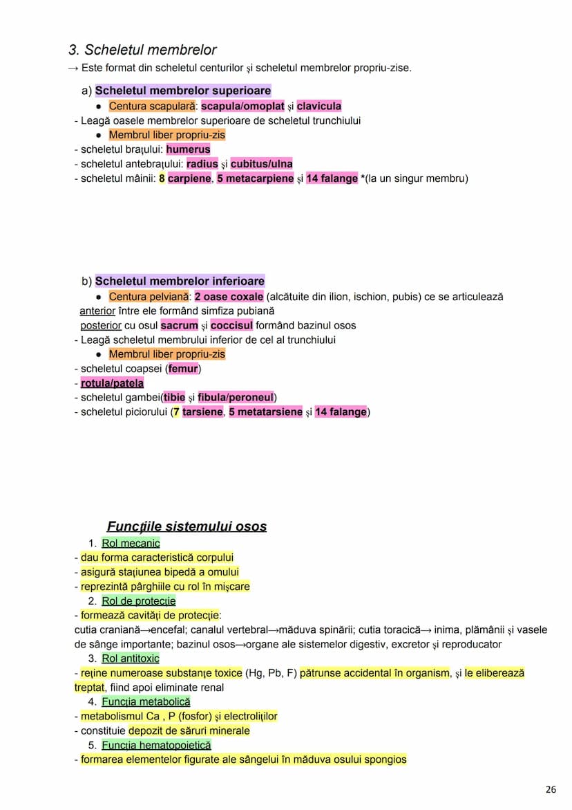 --- OCR Start ---
Alcătuirea Corpului Uman
Corpul uman este alcătuit din 4 segmente:
1. Capul
→neurocraniul (cutia craniană)
→viscerocraniul