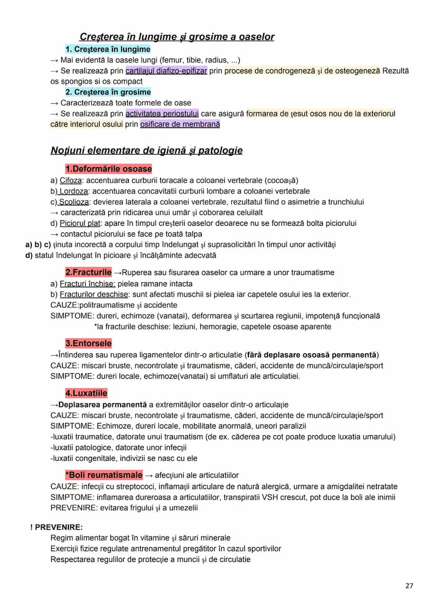 --- OCR Start ---
Alcătuirea Corpului Uman
Corpul uman este alcătuit din 4 segmente:
1. Capul
→neurocraniul (cutia craniană)
→viscerocraniul