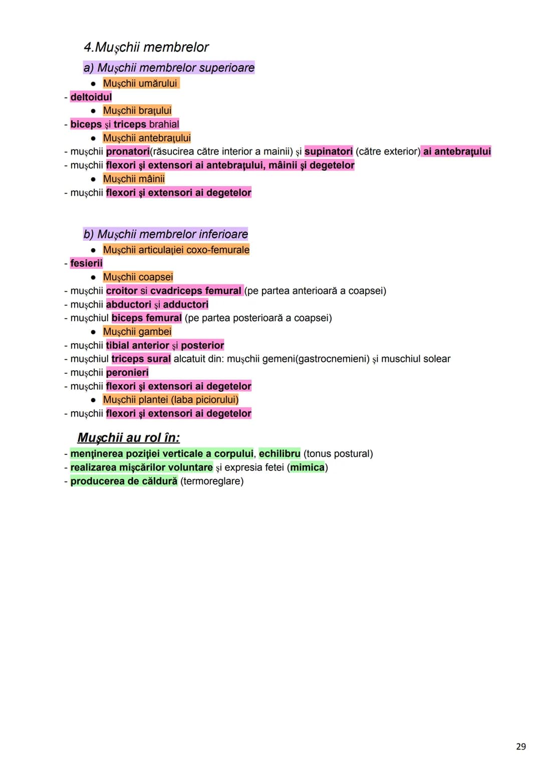 --- OCR Start ---
Alcătuirea Corpului Uman
Corpul uman este alcătuit din 4 segmente:
1. Capul
→neurocraniul (cutia craniană)
→viscerocraniul
