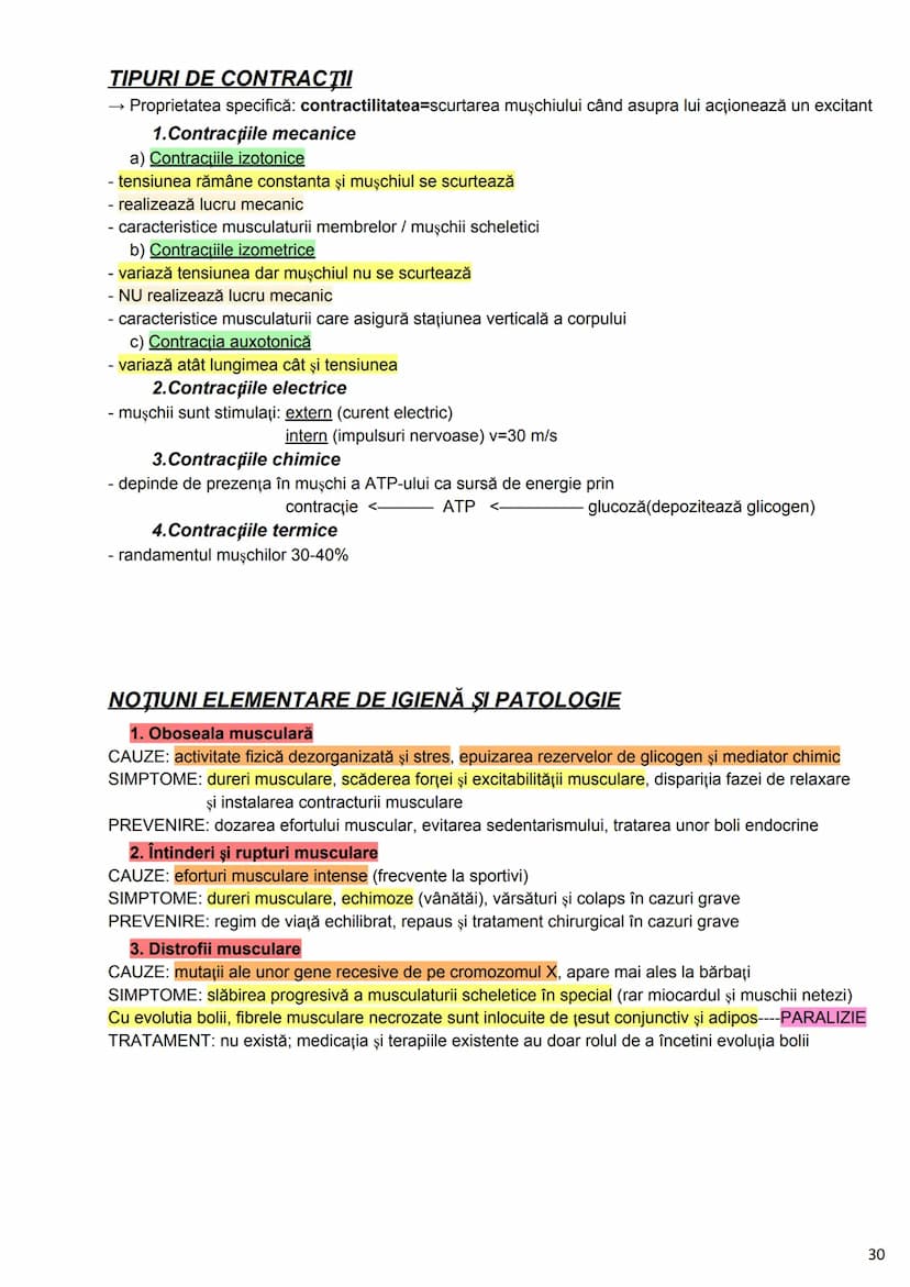 --- OCR Start ---
Alcătuirea Corpului Uman
Corpul uman este alcătuit din 4 segmente:
1. Capul
→neurocraniul (cutia craniană)
→viscerocraniul