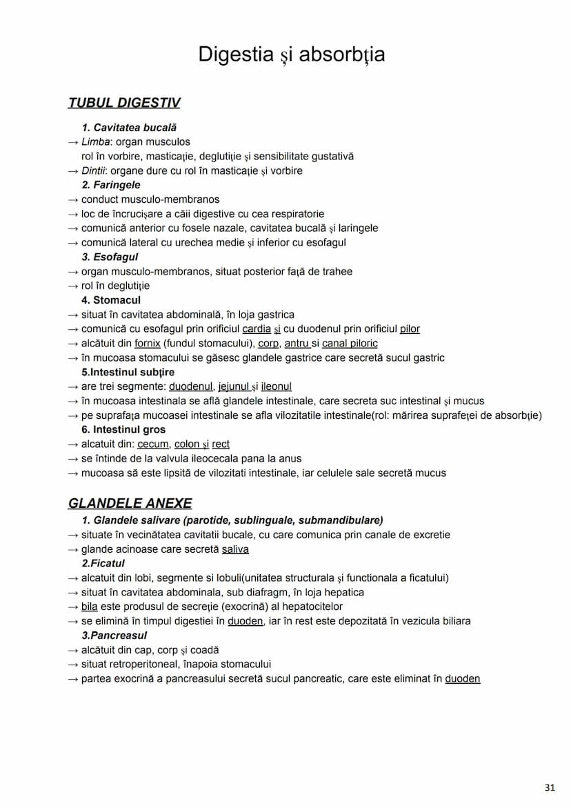 --- OCR Start ---
Alcătuirea Corpului Uman
Corpul uman este alcătuit din 4 segmente:
1. Capul
→neurocraniul (cutia craniană)
→viscerocraniul