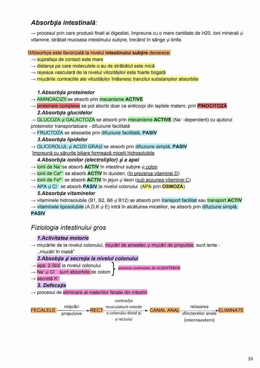 --- OCR Start ---
Alcătuirea Corpului Uman
Corpul uman este alcătuit din 4 segmente:
1. Capul
→neurocraniul (cutia craniană)
→viscerocraniul