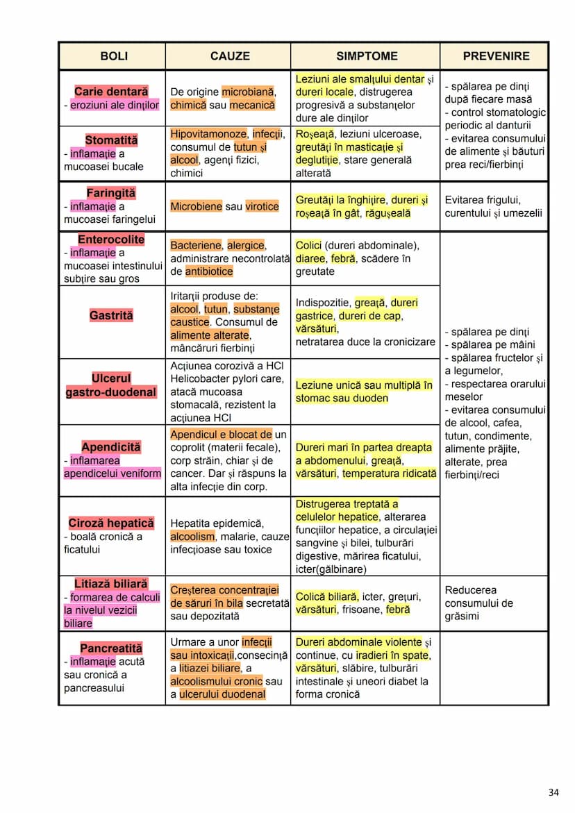 --- OCR Start ---
Alcătuirea Corpului Uman
Corpul uman este alcătuit din 4 segmente:
1. Capul
→neurocraniul (cutia craniană)
→viscerocraniul