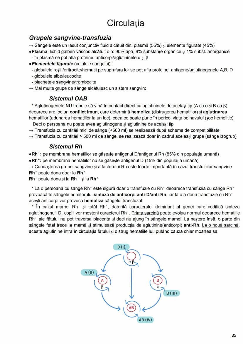 --- OCR Start ---
Alcătuirea Corpului Uman
Corpul uman este alcătuit din 4 segmente:
1. Capul
→neurocraniul (cutia craniană)
→viscerocraniul