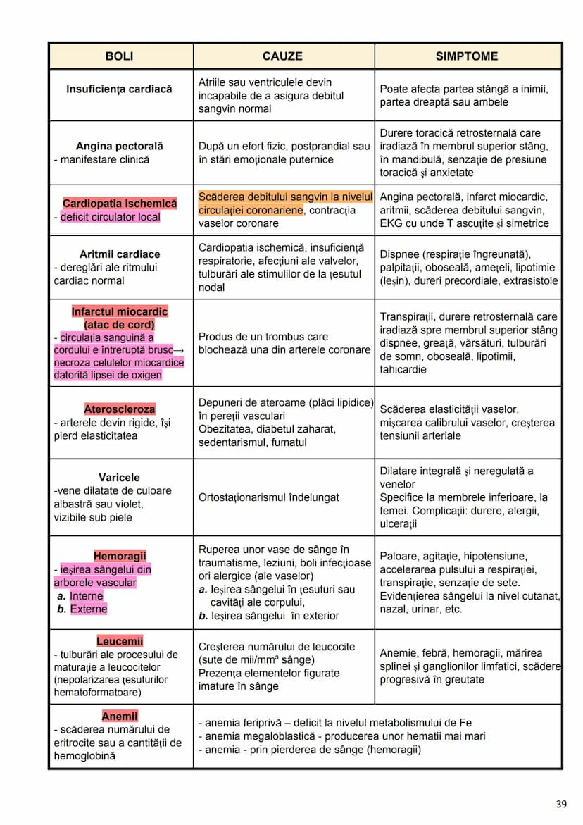 --- OCR Start ---
Alcătuirea Corpului Uman
Corpul uman este alcătuit din 4 segmente:
1. Capul
→neurocraniul (cutia craniană)
→viscerocraniul