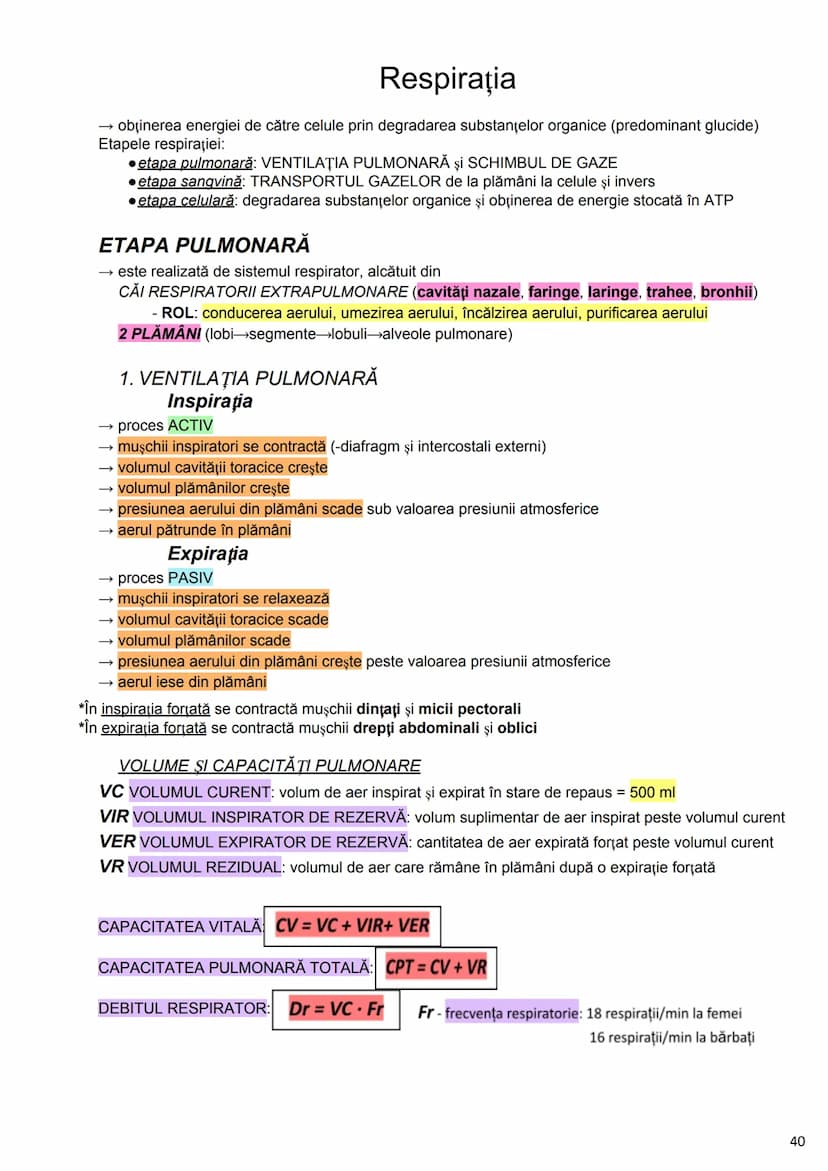 --- OCR Start ---
Alcătuirea Corpului Uman
Corpul uman este alcătuit din 4 segmente:
1. Capul
→neurocraniul (cutia craniană)
→viscerocraniul