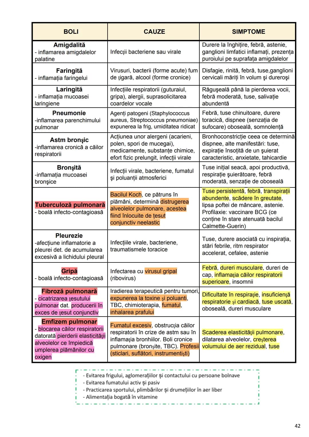 --- OCR Start ---
Alcătuirea Corpului Uman
Corpul uman este alcătuit din 4 segmente:
1. Capul
→neurocraniul (cutia craniană)
→viscerocraniul