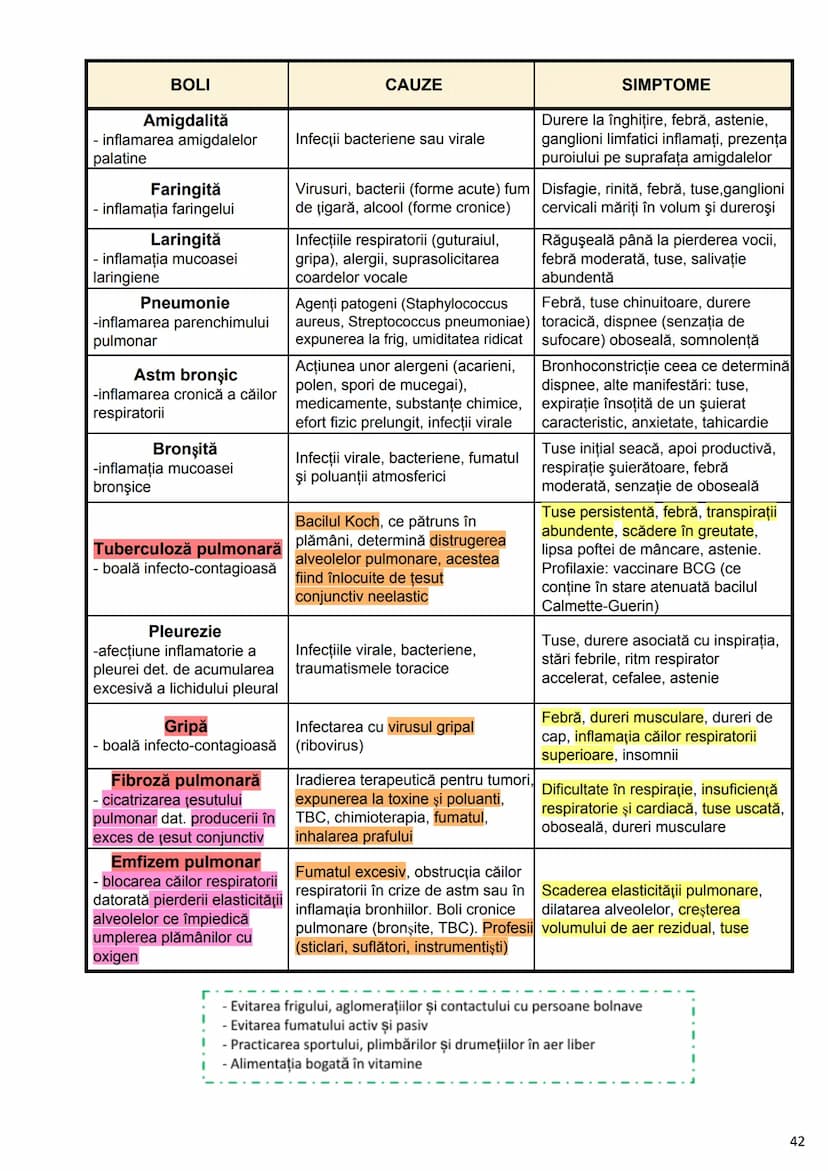 --- OCR Start ---
Alcătuirea Corpului Uman
Corpul uman este alcătuit din 4 segmente:
1. Capul
→neurocraniul (cutia craniană)
→viscerocraniul