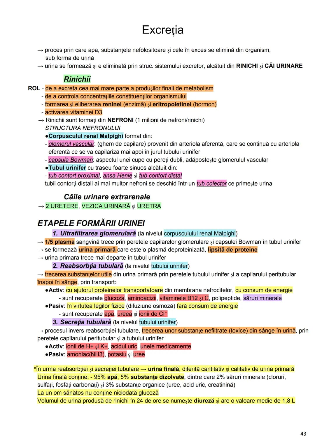 --- OCR Start ---
Alcătuirea Corpului Uman
Corpul uman este alcătuit din 4 segmente:
1. Capul
→neurocraniul (cutia craniană)
→viscerocraniul