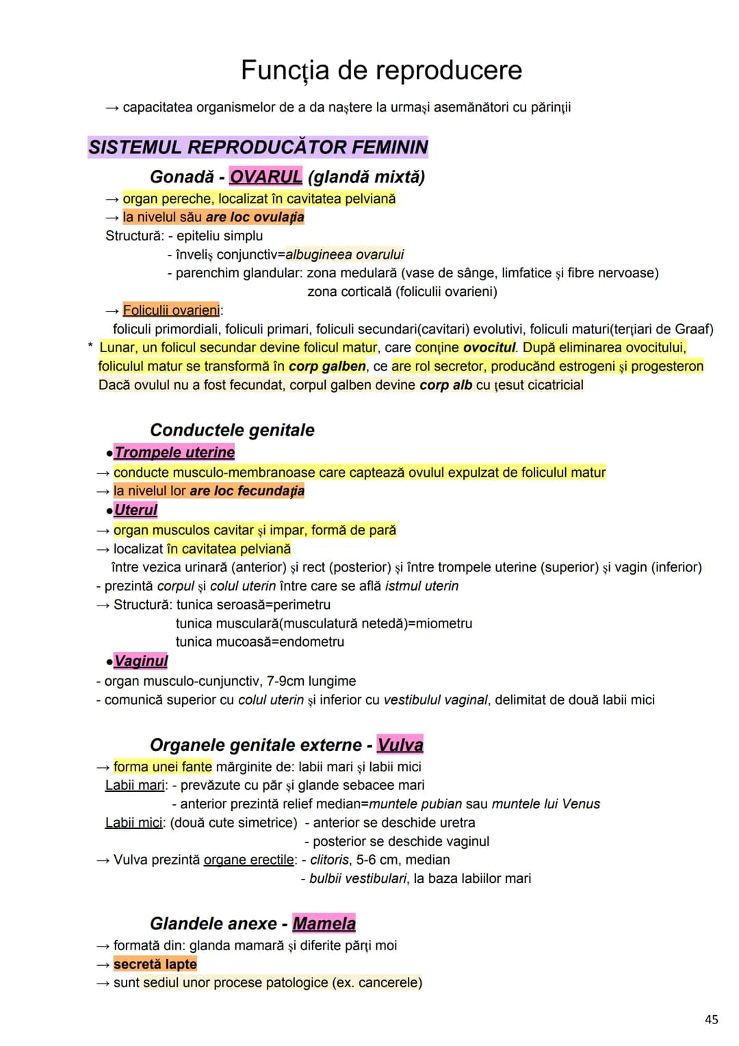 --- OCR Start ---
Alcătuirea Corpului Uman
Corpul uman este alcătuit din 4 segmente:
1. Capul
→neurocraniul (cutia craniană)
→viscerocraniul