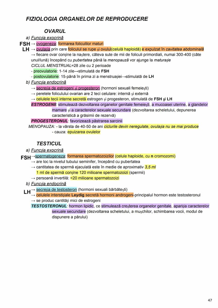 --- OCR Start ---
Alcătuirea Corpului Uman
Corpul uman este alcătuit din 4 segmente:
1. Capul
→neurocraniul (cutia craniană)
→viscerocraniul
