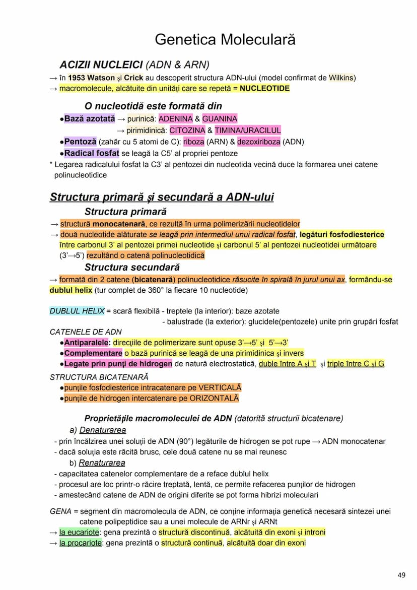 --- OCR Start ---
Alcătuirea Corpului Uman
Corpul uman este alcătuit din 4 segmente:
1. Capul
→neurocraniul (cutia craniană)
→viscerocraniul