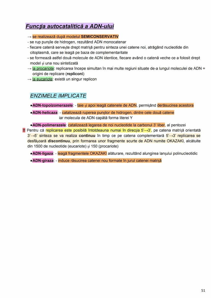 --- OCR Start ---
Alcătuirea Corpului Uman
Corpul uman este alcătuit din 4 segmente:
1. Capul
→neurocraniul (cutia craniană)
→viscerocraniul