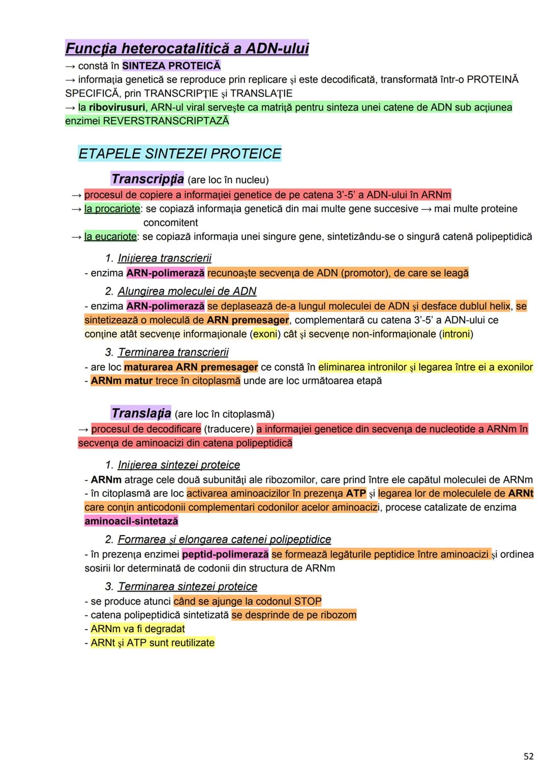 --- OCR Start ---
Alcătuirea Corpului Uman
Corpul uman este alcătuit din 4 segmente:
1. Capul
→neurocraniul (cutia craniană)
→viscerocraniul